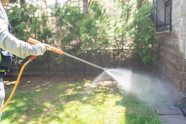 Best Cockroach Control  in Liberty Lake, WA